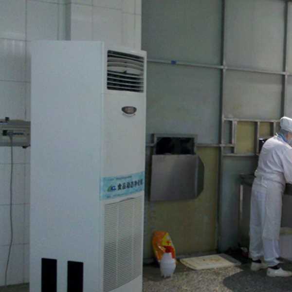 益阳食品正负离子空气杀菌器